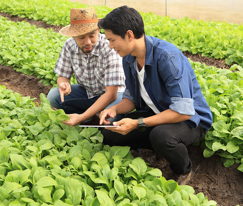 Agricultural Consultants Insurance in Texas