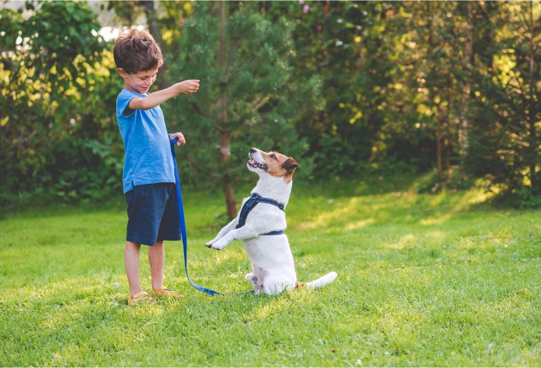 A boy training a dog